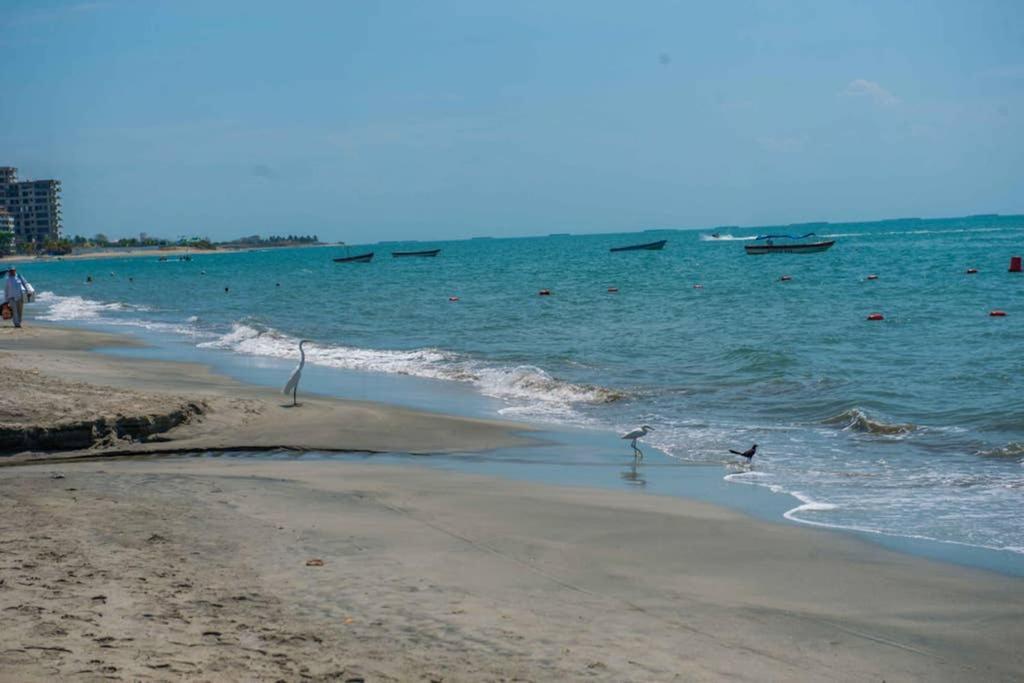 Acogedor Con Vista Al Mar En Zazue A 300 Metros De La Playa Bellohorizonte Apartment *
